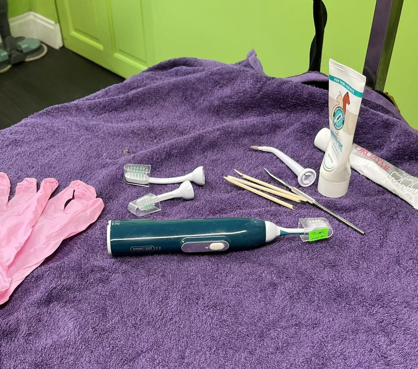 An Emmipet ultrasonic toothbrush kit with toothpaste and gloves laid out on a purple towel