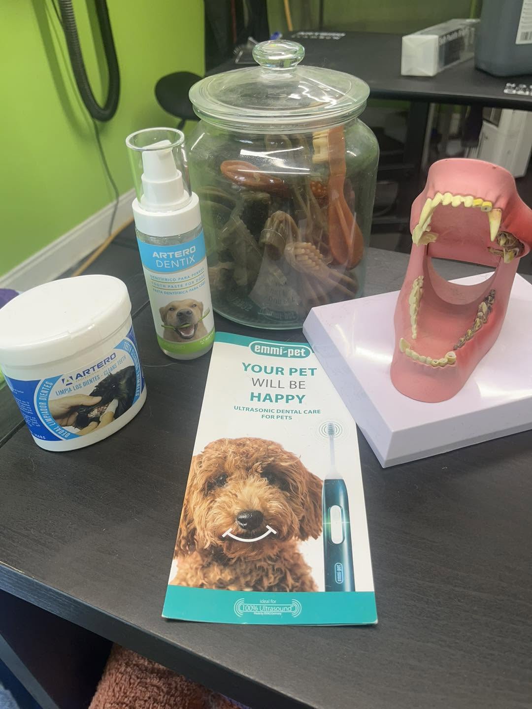 Dental care products on the salon counter: Artero spray, a jar of chews, an Emmipet leaflet and a model jaw